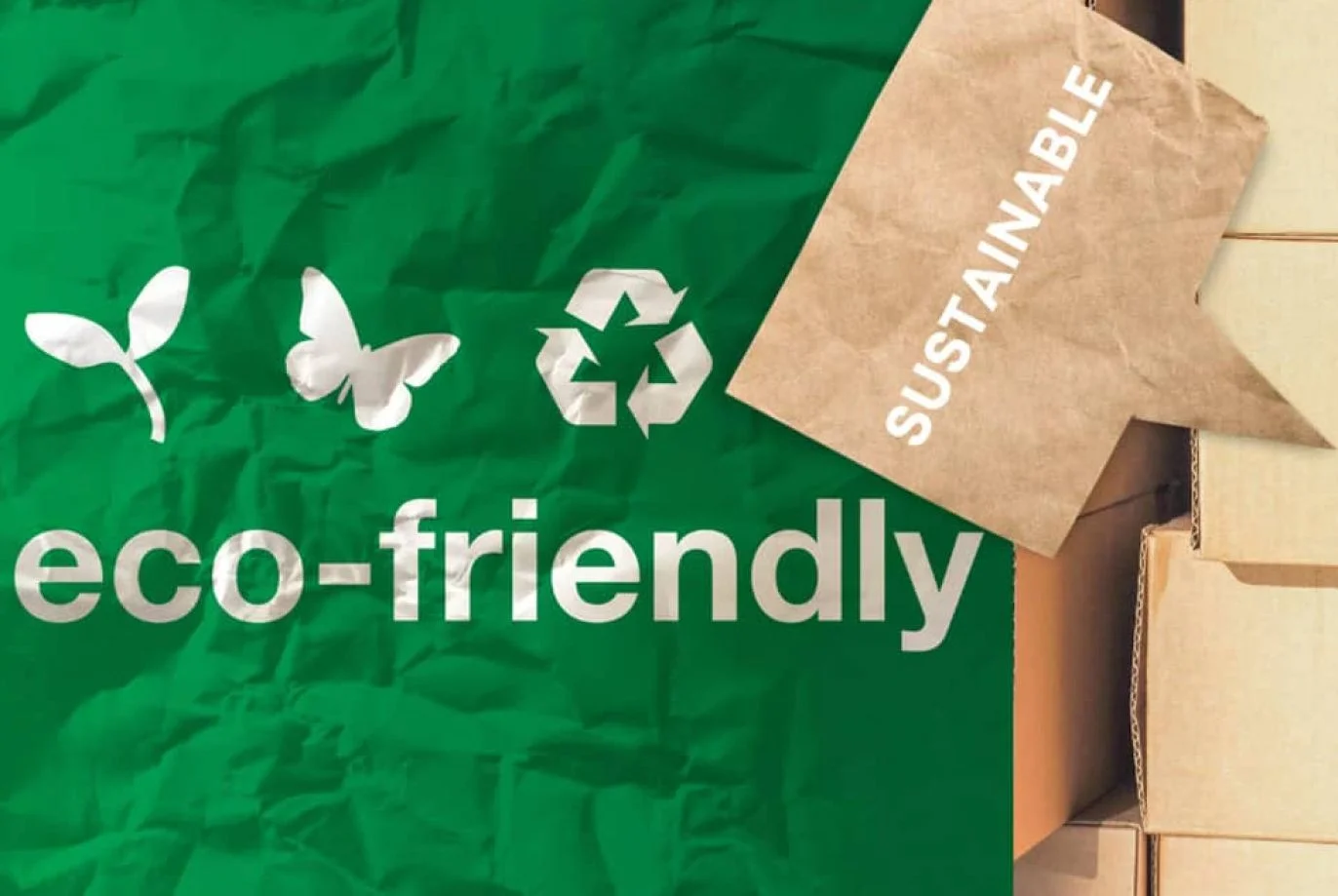 Funda Sourcing Compostables & Packaging product sourcing example 2
