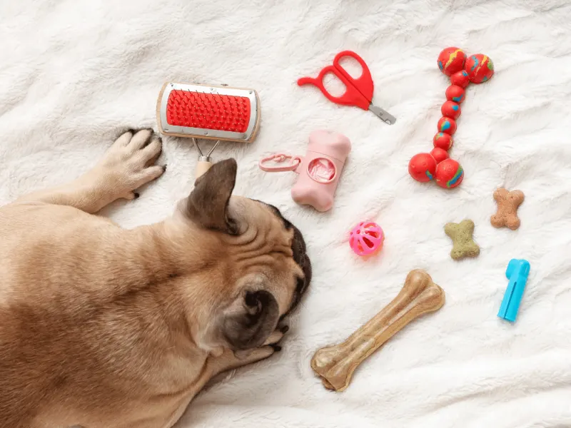 Funda Sourcing pet toys product sourcing image with chew toys, plush toys, balls, enrichment items, and private-label toy sets