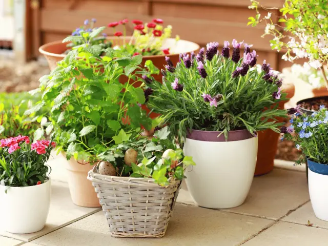 Funda Sourcing planters & pots product sourcing image with ceramic, bamboo, metal, plastic, and fiber planter programs